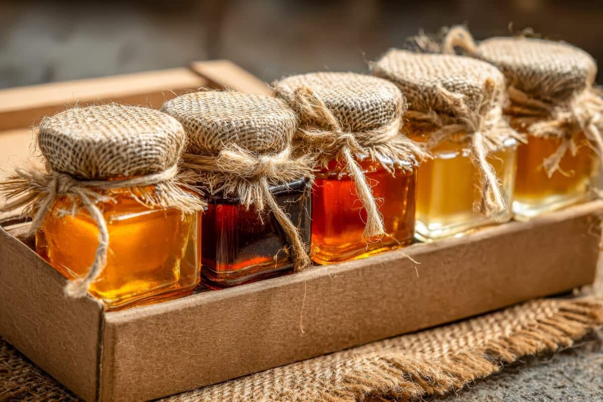 maple-syrup-tasting